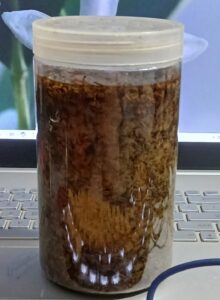 Điều trị bệnh viêm họng hạt tại nhà