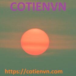 Dự án phục hồi cơ lực gân cơ